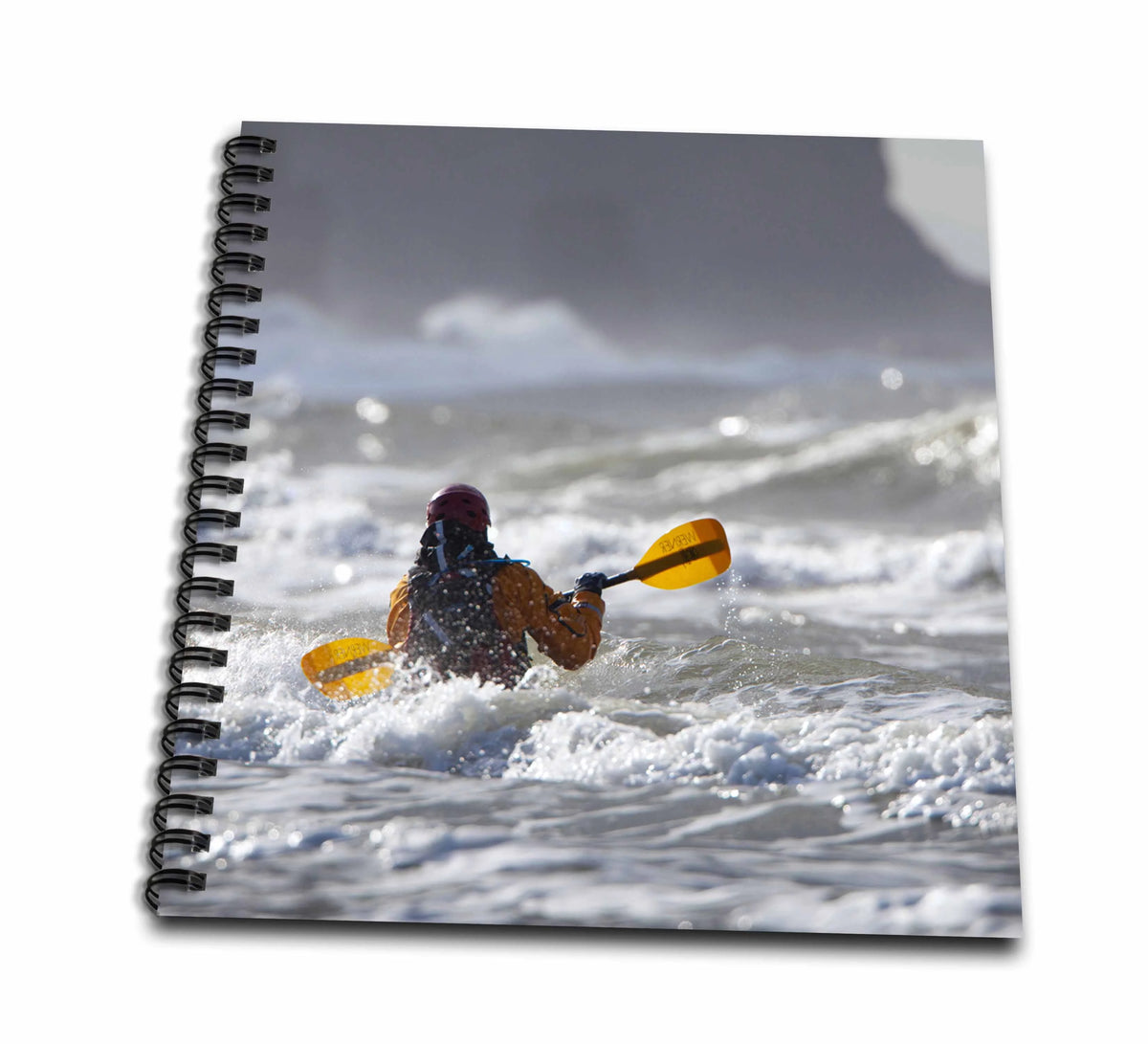 Drawing Book R39558