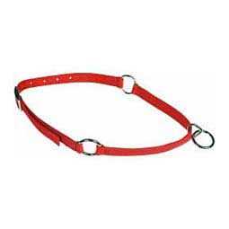 Neck Collar N324