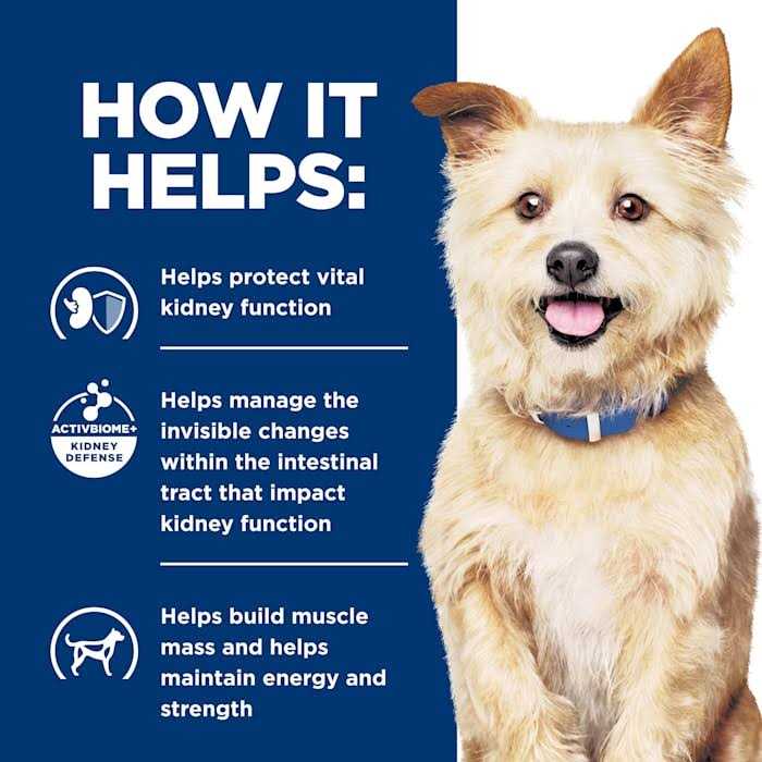 Kidney Care Dog Food N383136