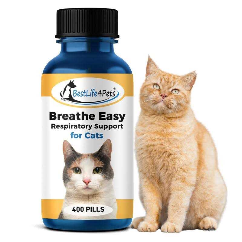 Breathe Easy for Cat N302624