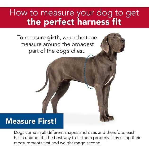 Adjustable Dog Harness U286503