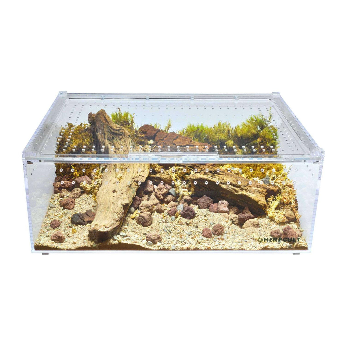 Acrylic Insect & Reptile Terrarium Q64825