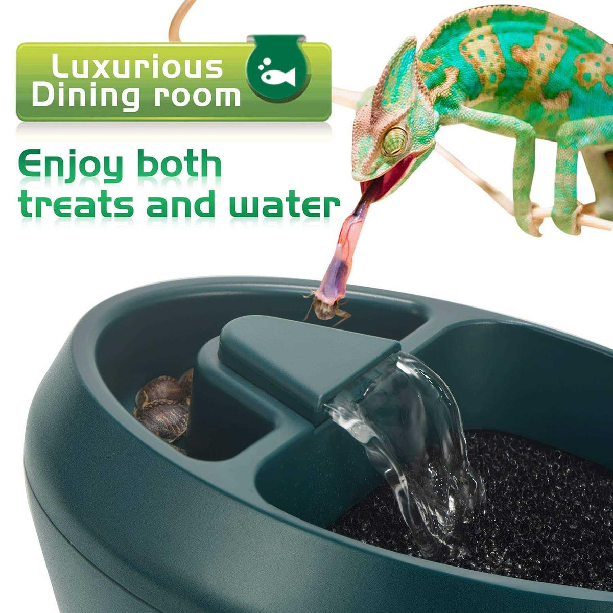 Reptile Drinking Fountain Water Dripper D780978