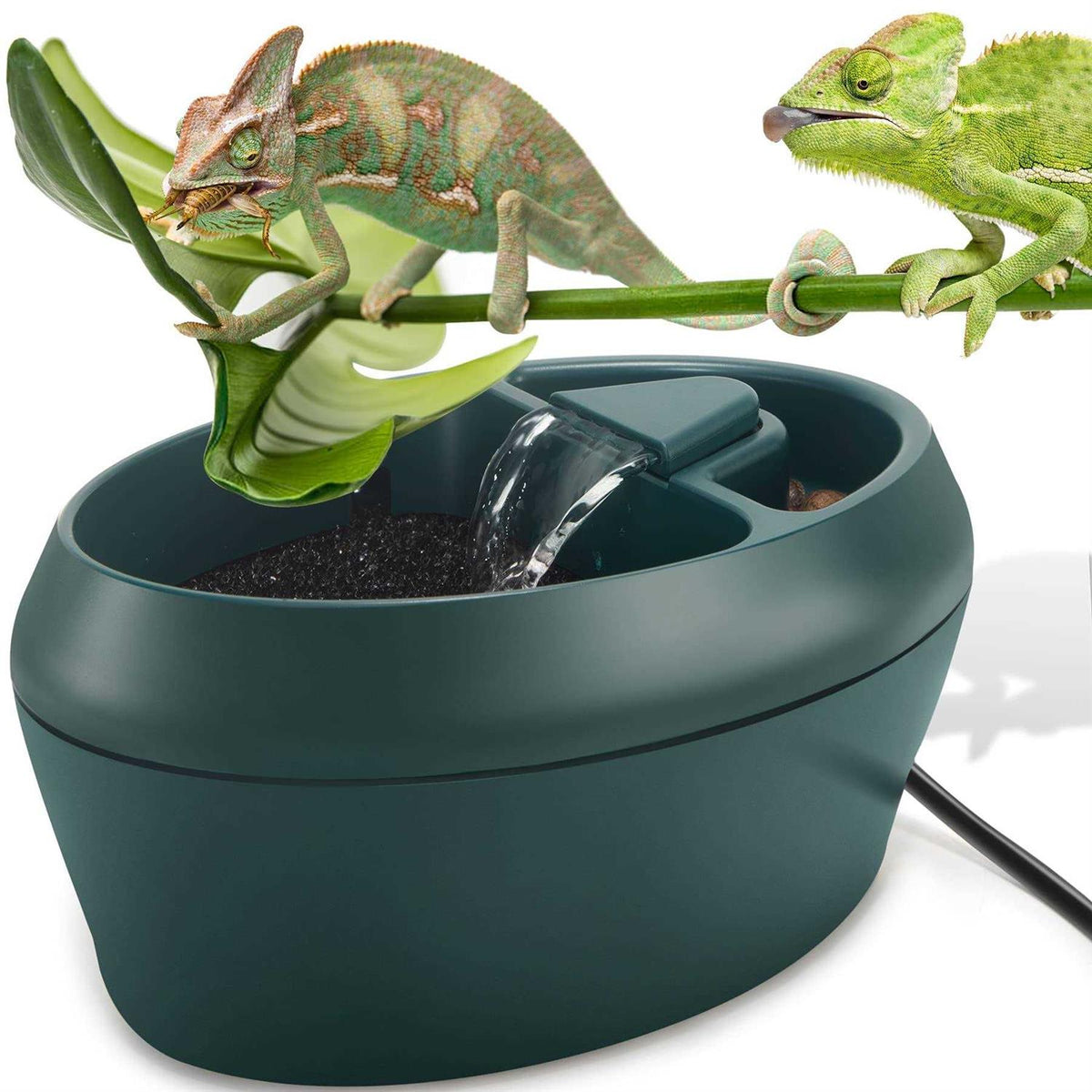 Reptile Drinking Fountain Water Dripper D780978