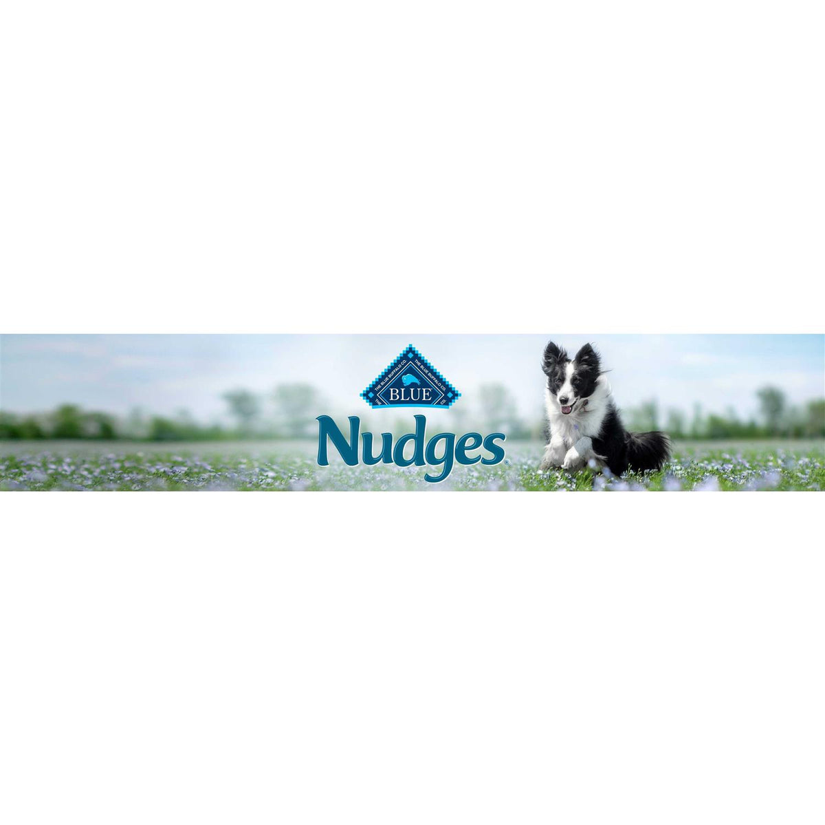 Chicken Natural Dog Treats U846