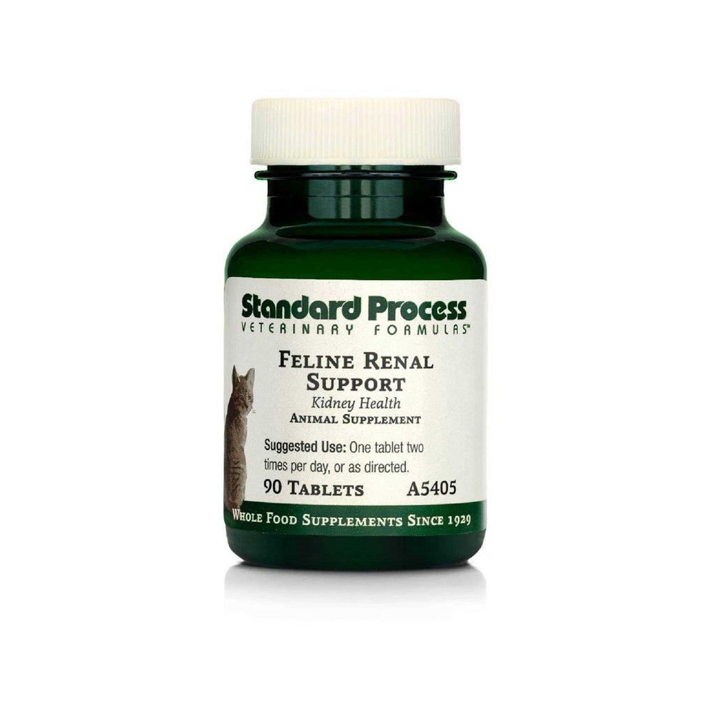 Renal Support M799761