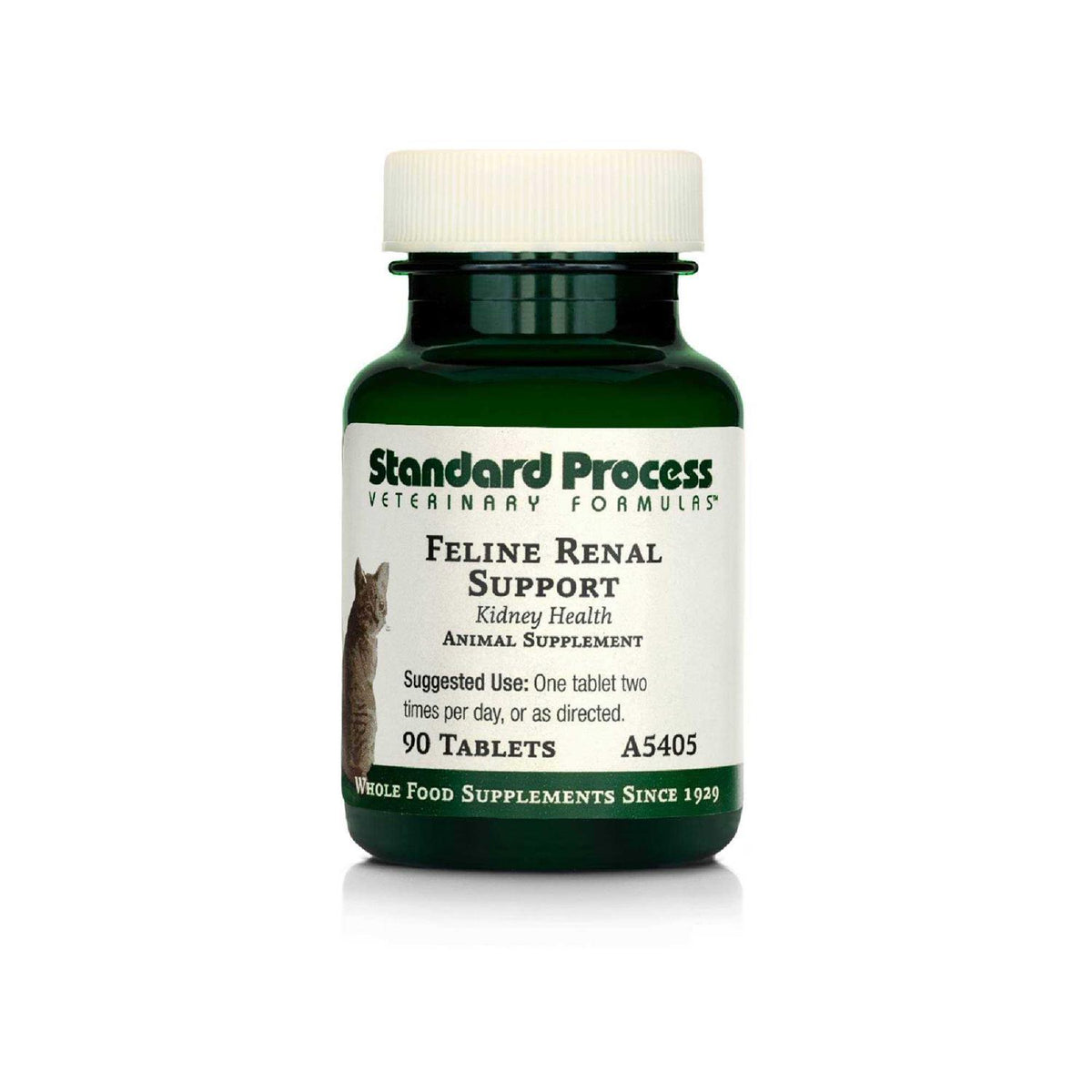 Renal Support M799761