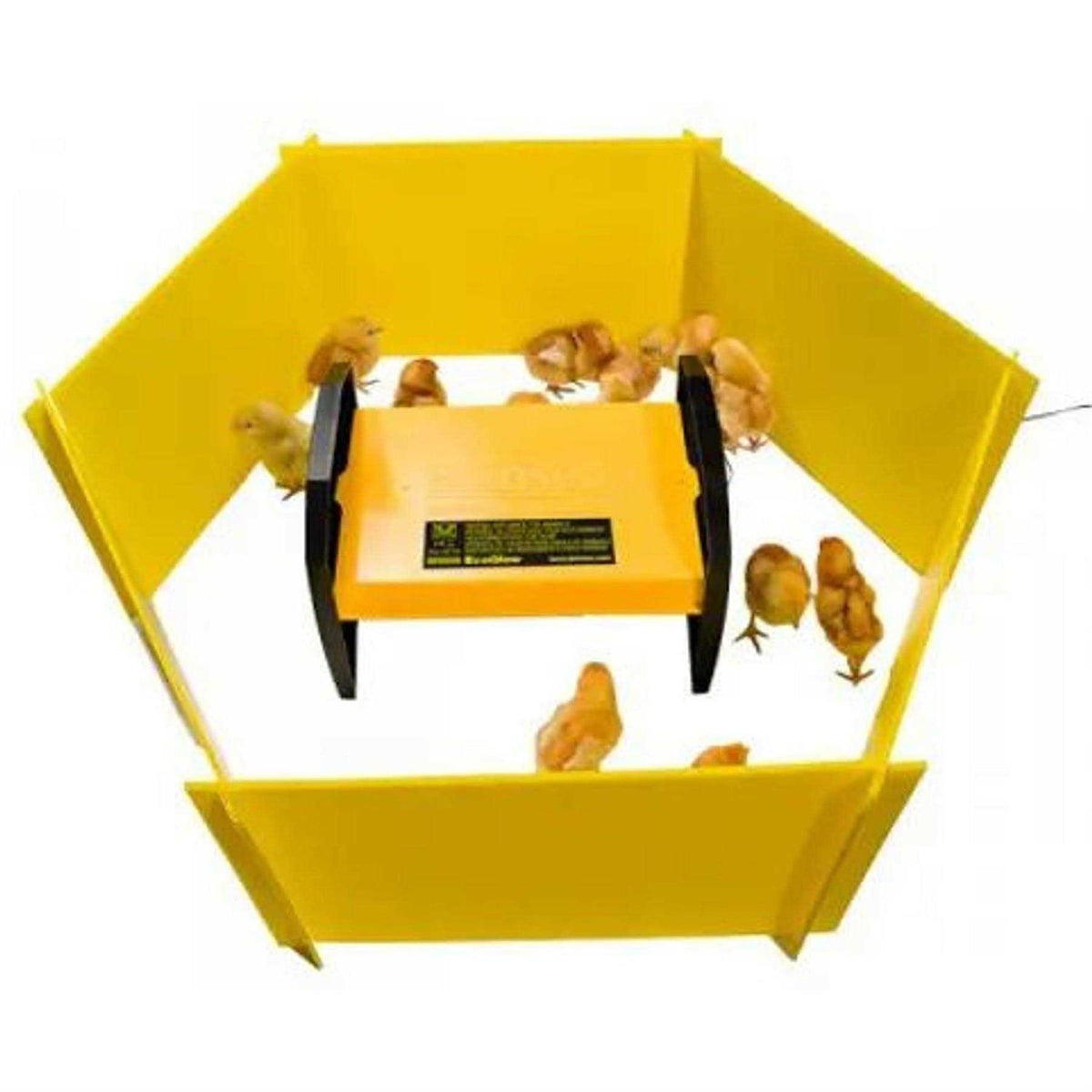 Chick Brooder Enclosure Panels W482543