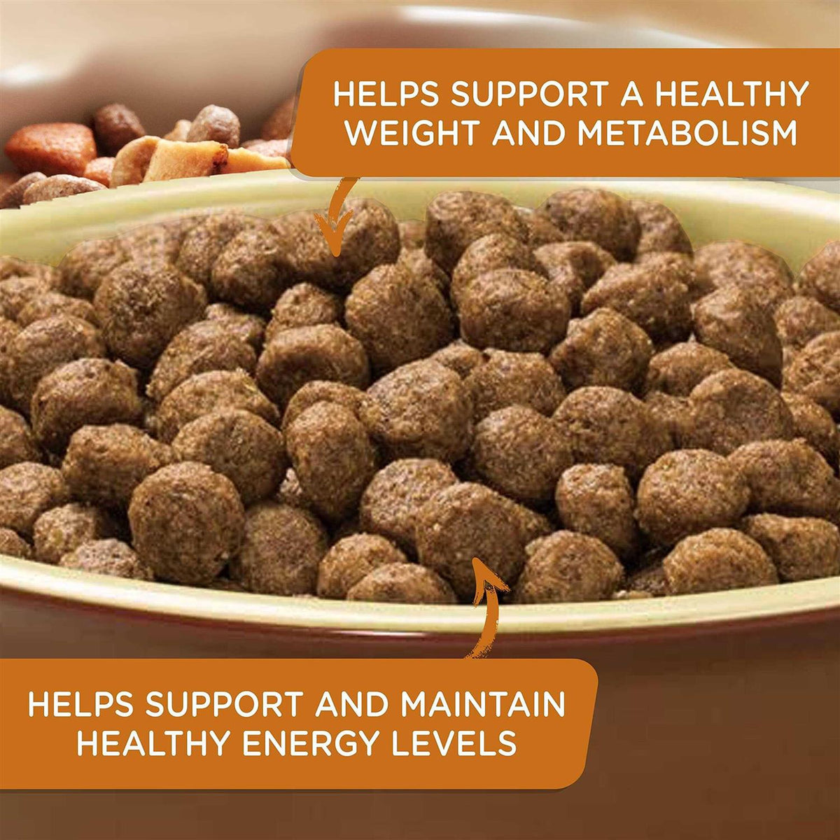 Real Turkey Brown Rice & Venison Recipe Dry Dog Food O9332