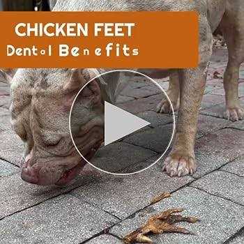 Chicken Feet Dog Treats V184868