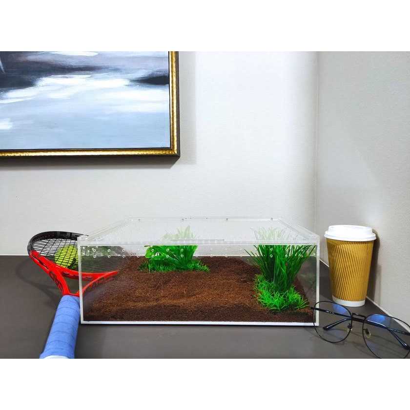 Acrylic Insect & Reptile Terrarium Q64825