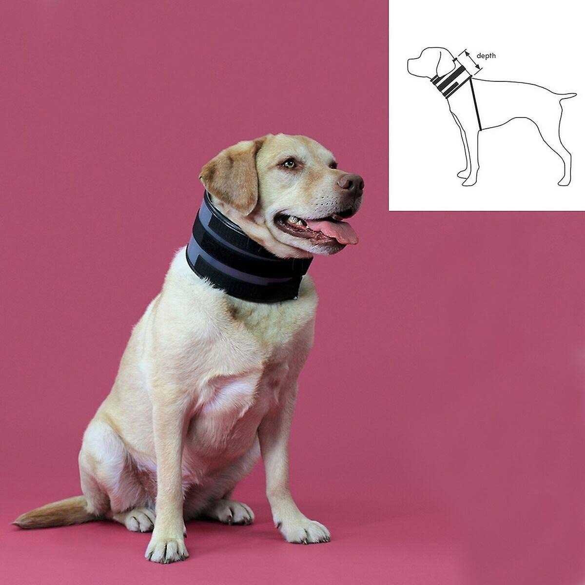 Cervical Collar F858675