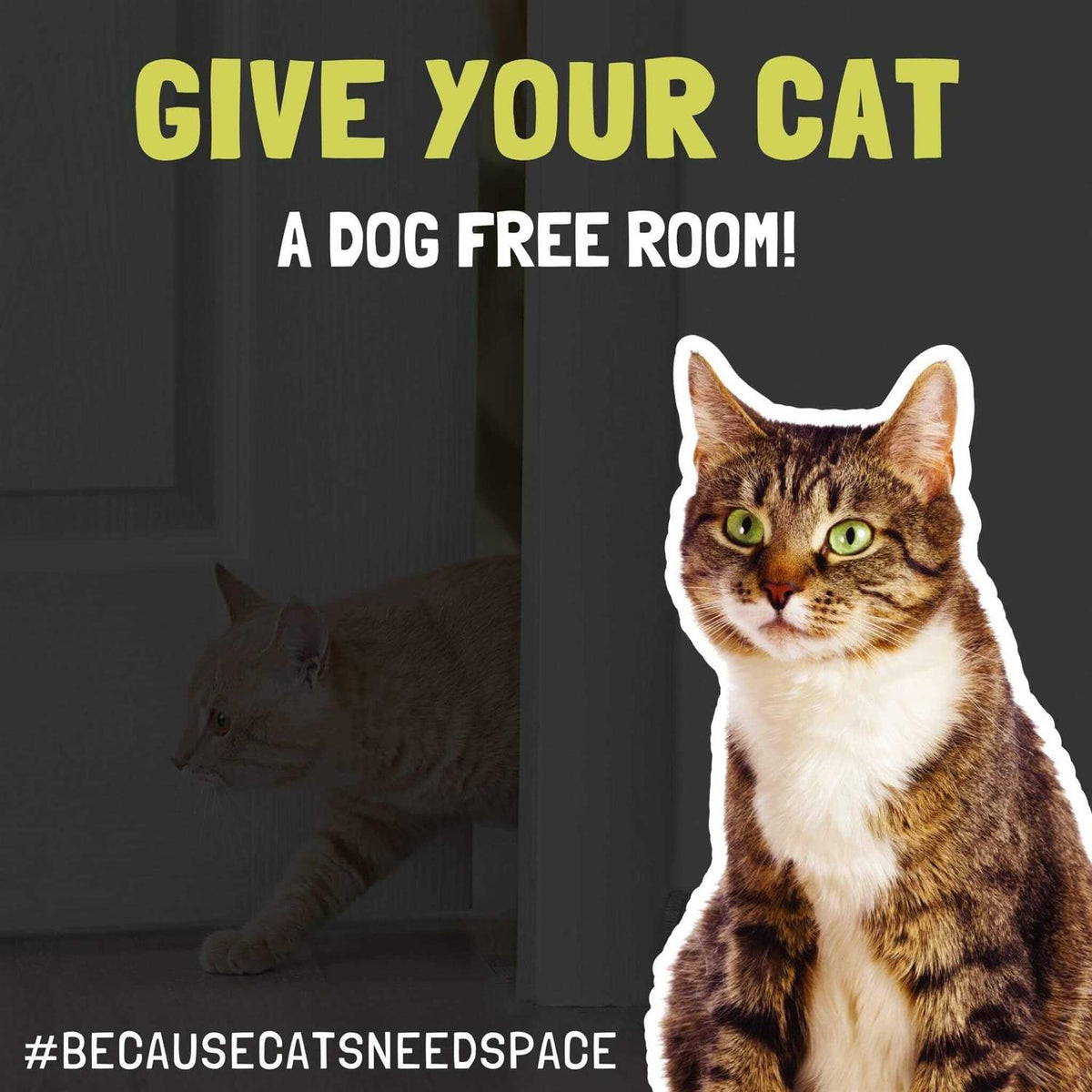 Door Latch Dog Litter Box Cat Door F657