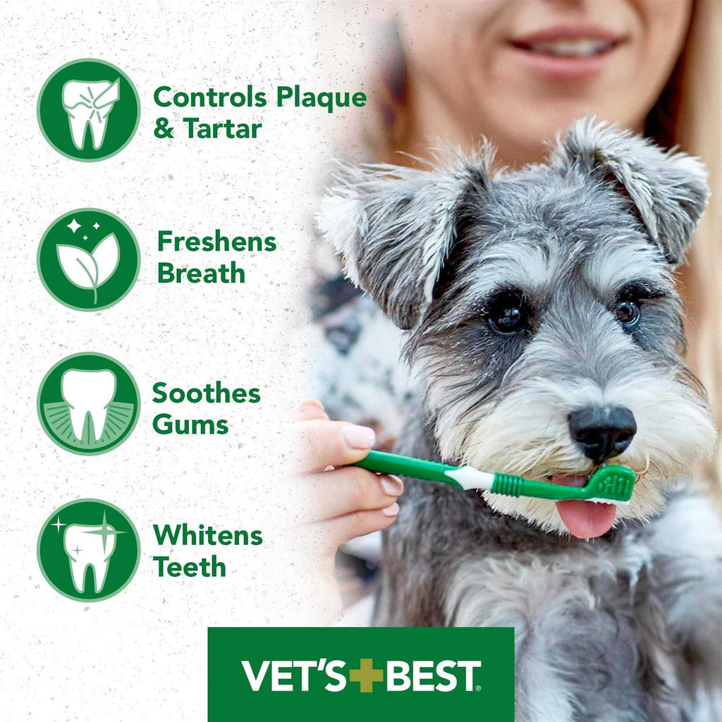 Dental Gel Toothpaste U4693