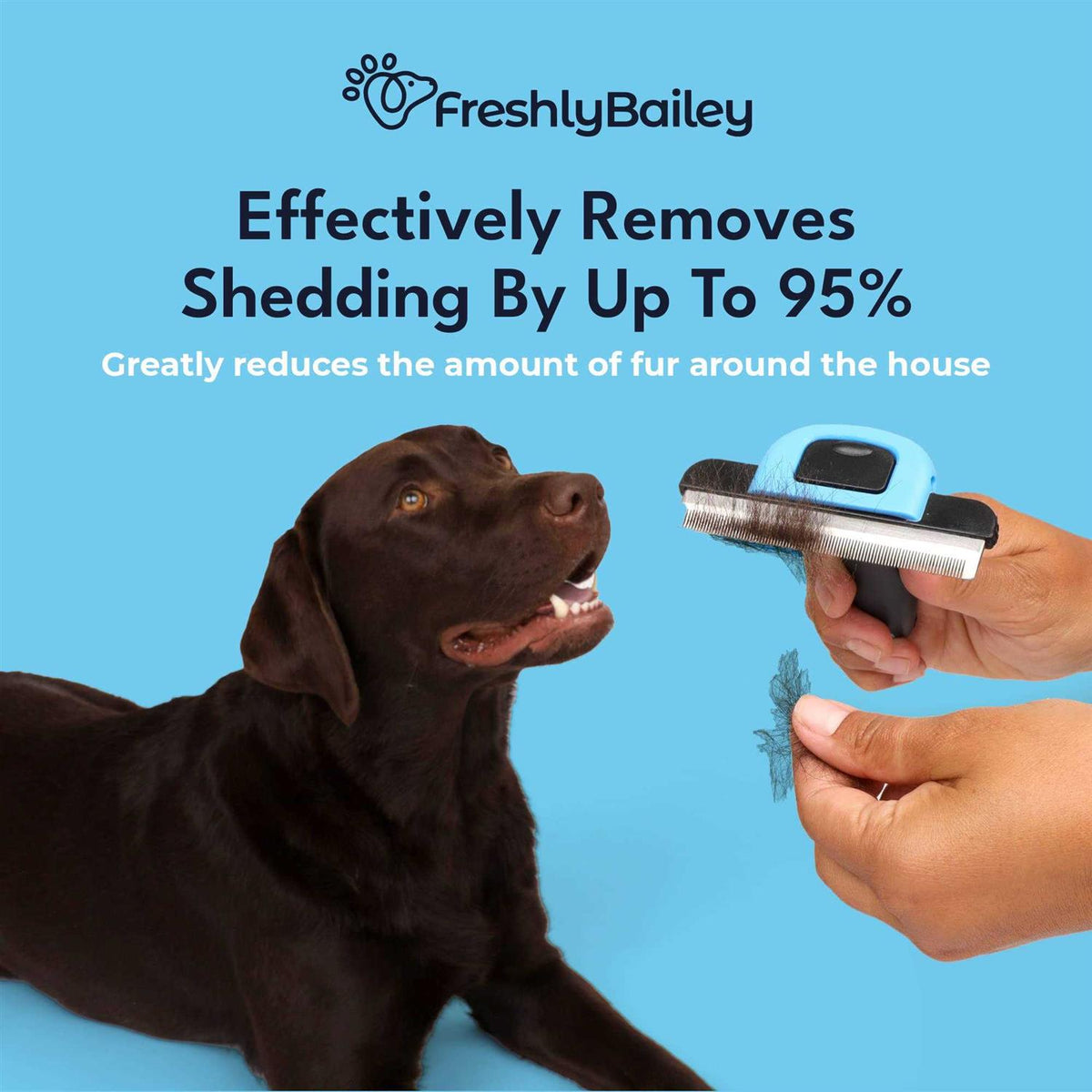 Deshedding Brush for Short Haired Dogs & Cats C55262