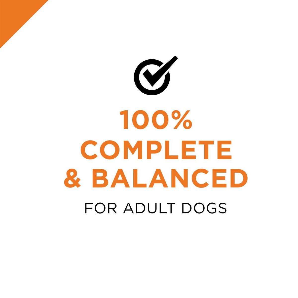 Beef Entree Wet Dog Food U5237
