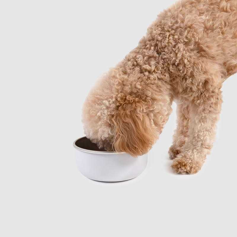 Pet Supplies Bowl Crate Clip Z66426