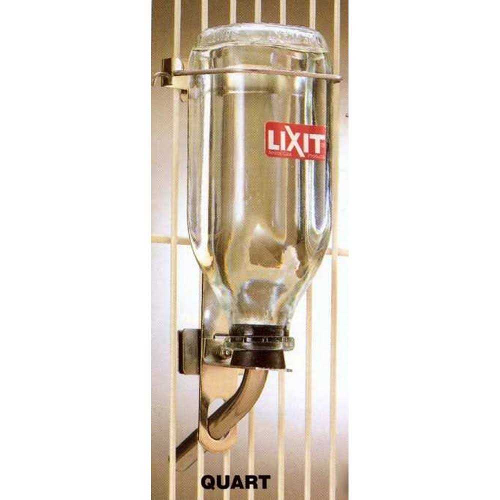 Glass Water Bottle A35982