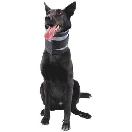 Cervical Collar F858675