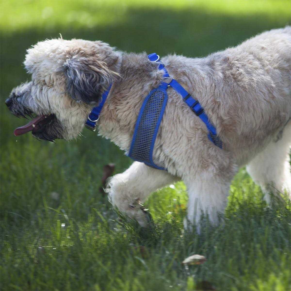Adjustable Dog Harness U286503