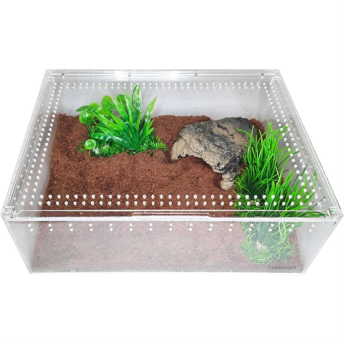 Acrylic Insect & Reptile Terrarium Q64825
