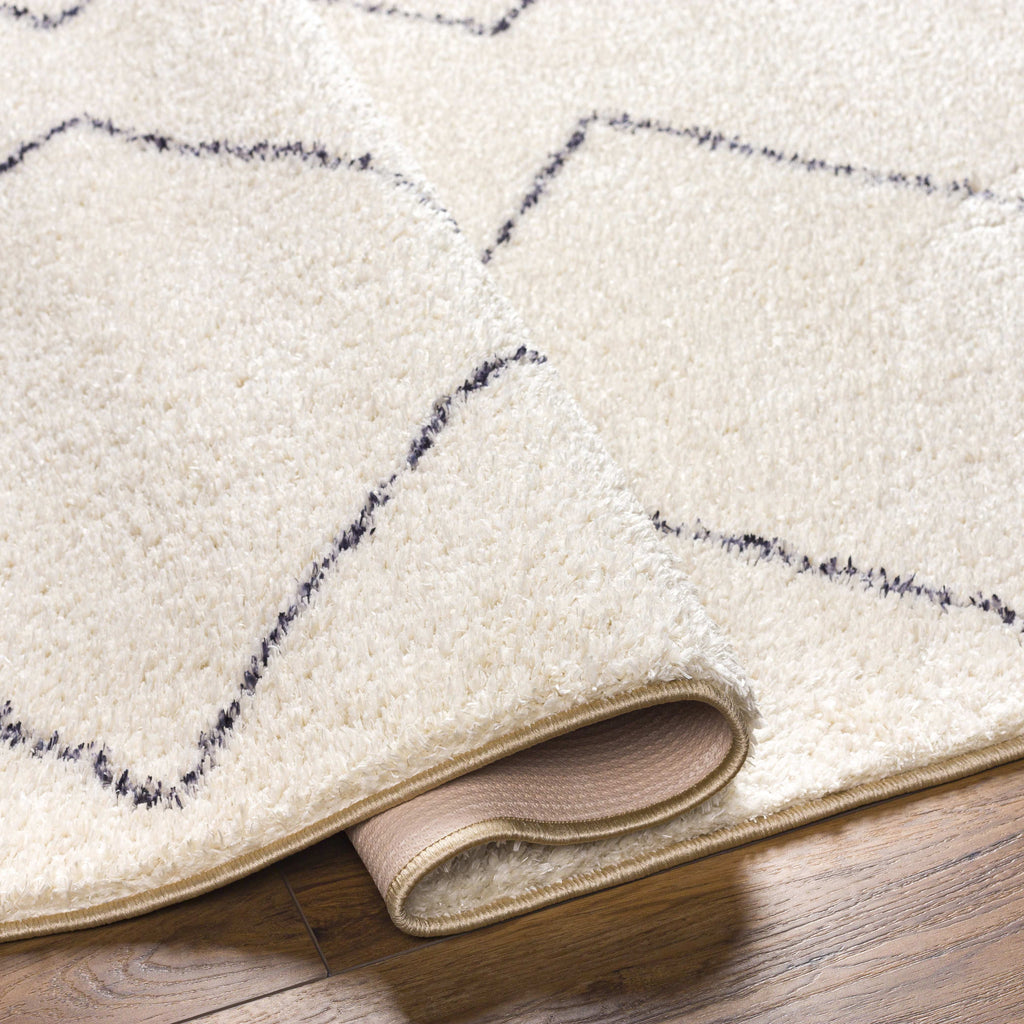 Washable 5x7 Cream Black Area Rug F2350