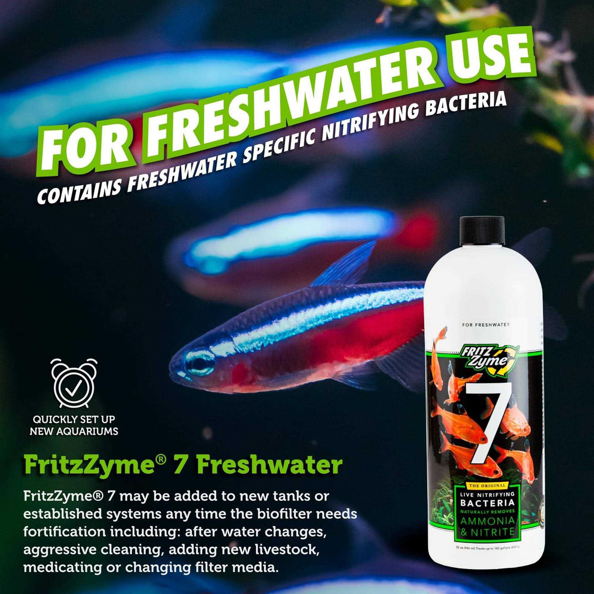 Freshwater Nitrifying Bacteria C93060