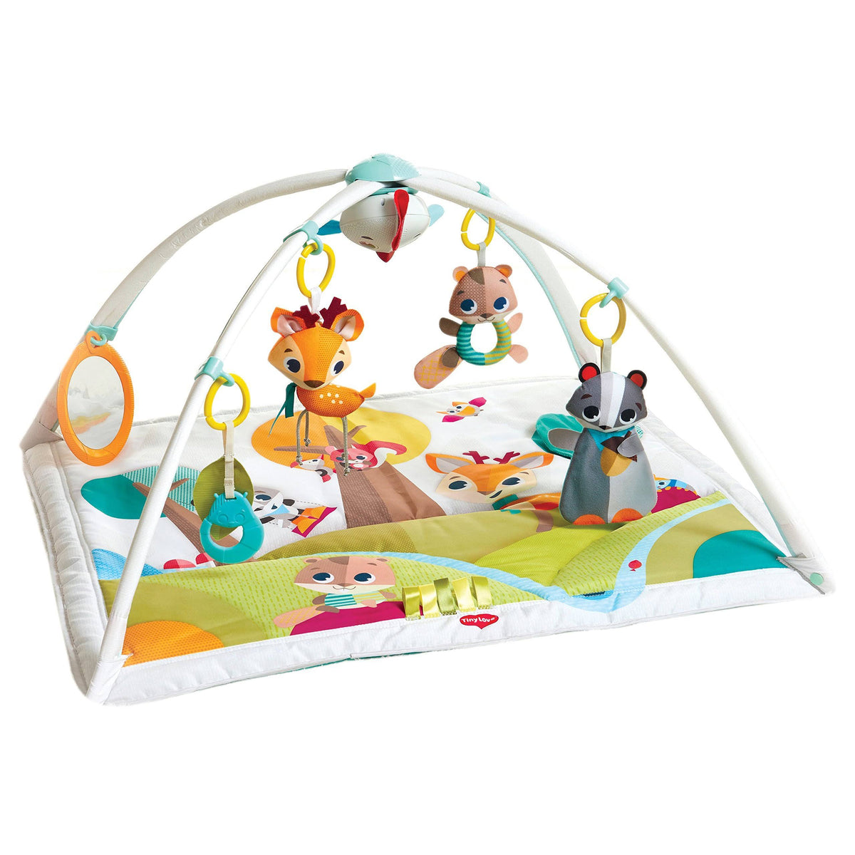 Activity Mat X854