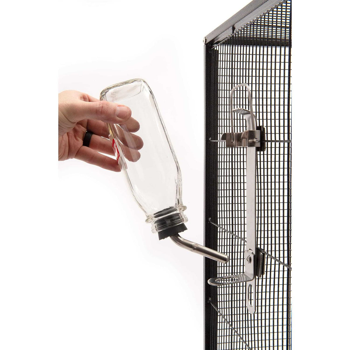 Glass Water Bottle A35982