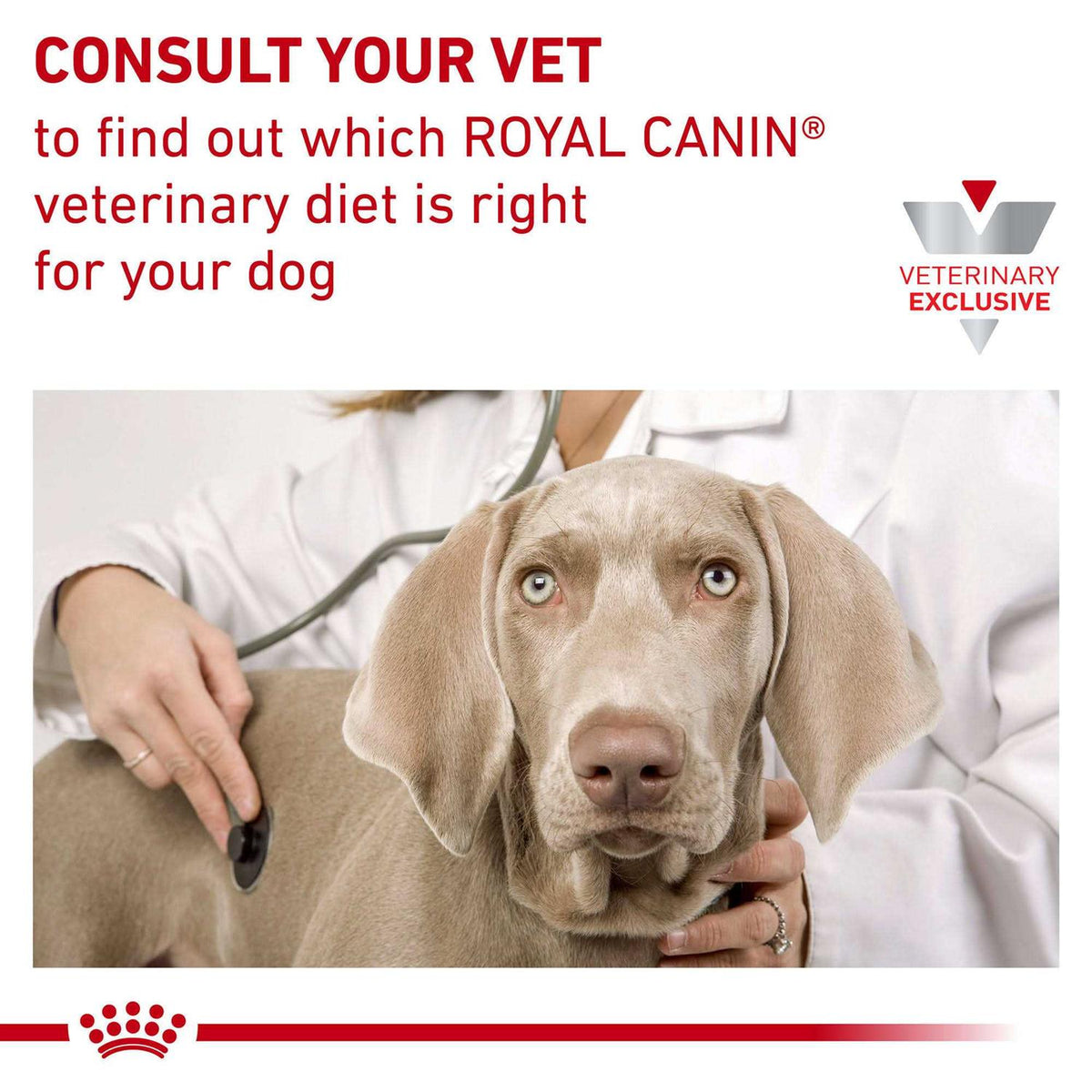 Veterinary Diet Satiety Support Dry Dog Food Q4046