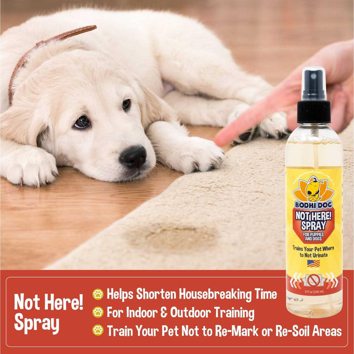 Dog Training Spray B171