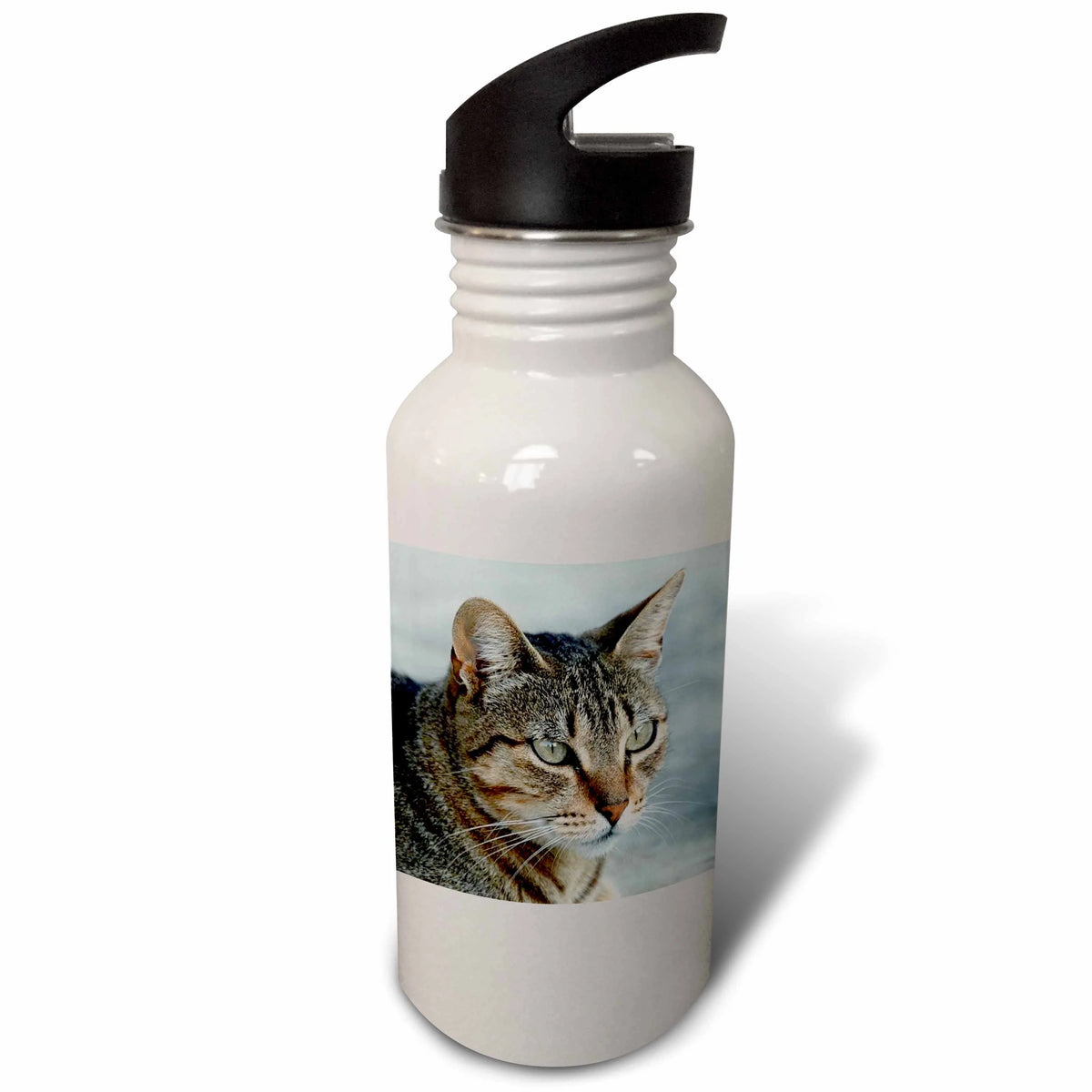 21 oz Sports Water Bottle E341
