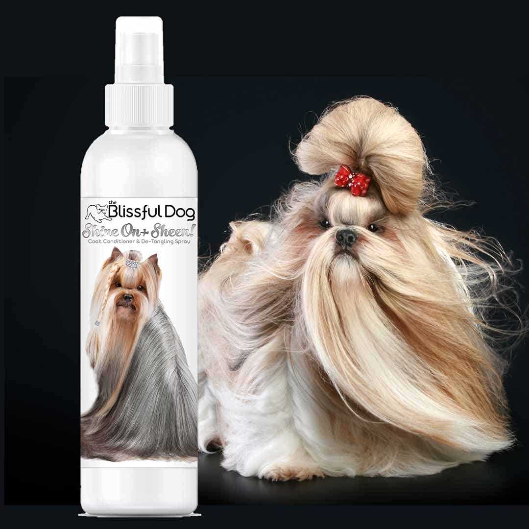 All Natural Leave-in Conditioner and Coat Detangler for Dogs M20689