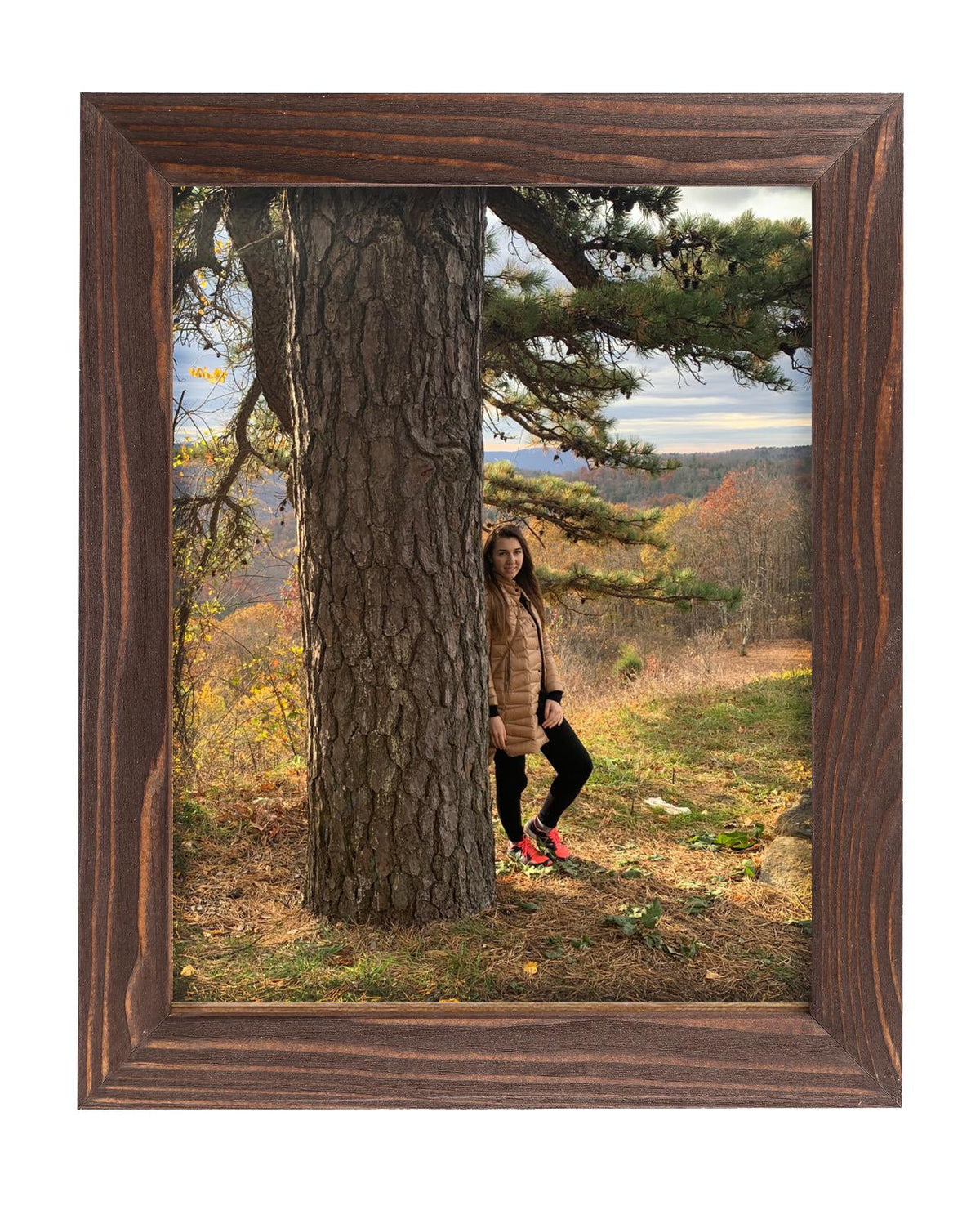 Rustic Wooden Picture Frames 8x10 Brown Wenge Set of 2 I198121