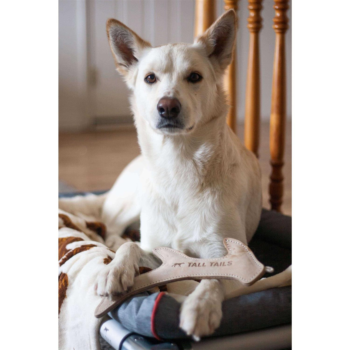 Natural Leather Antler Dog Toy F1727