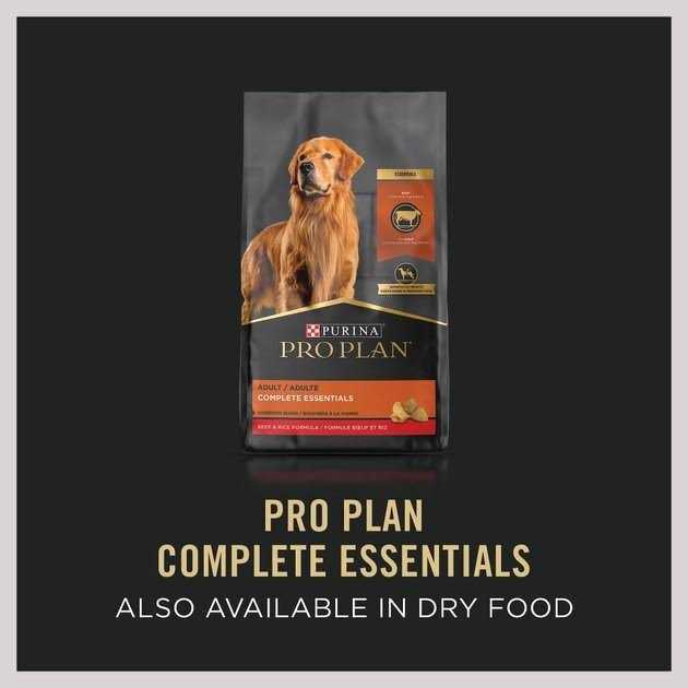 Beef Entree Wet Dog Food U5237