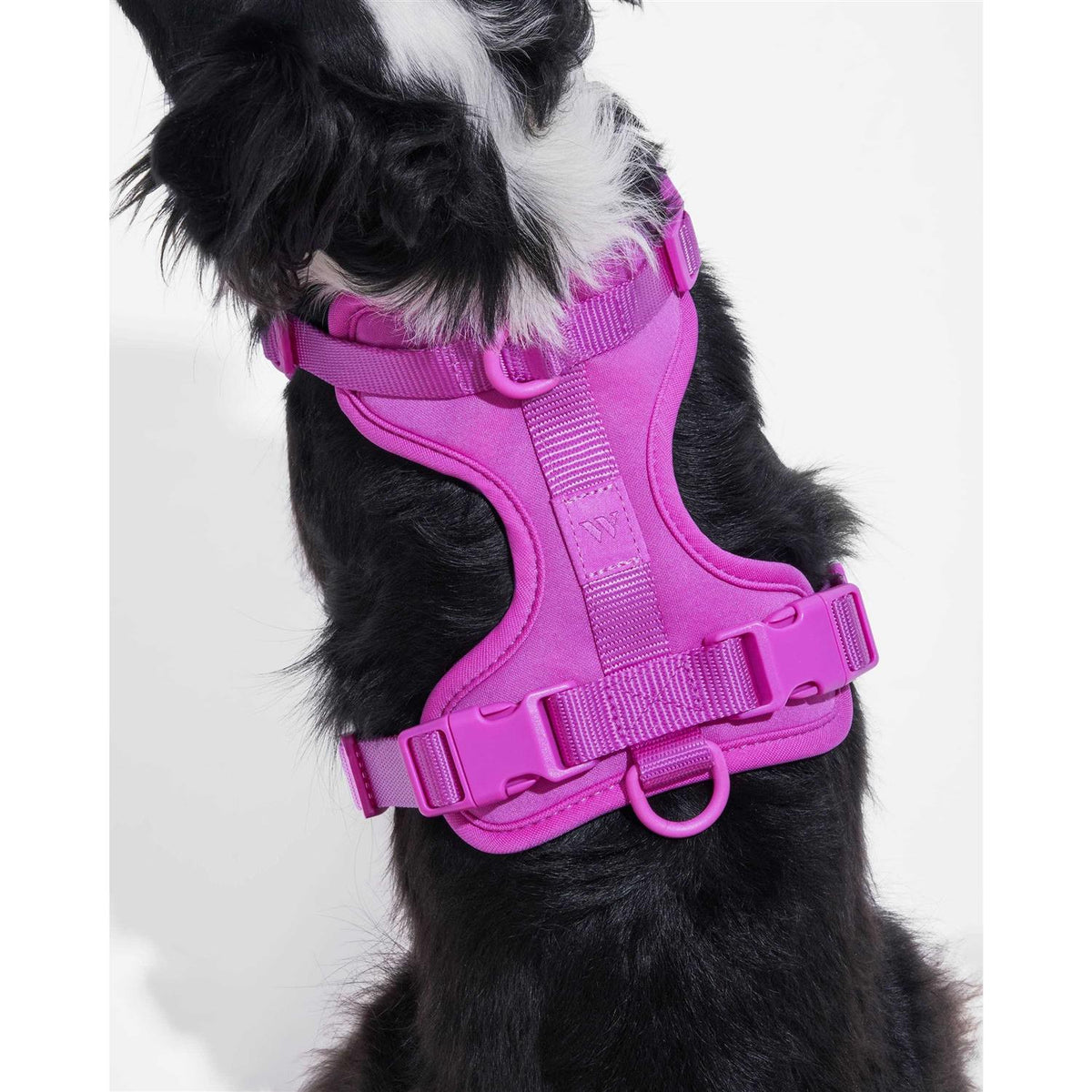 Dog Harness N337