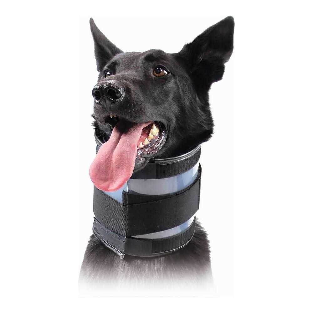 Cervical Collar F858675