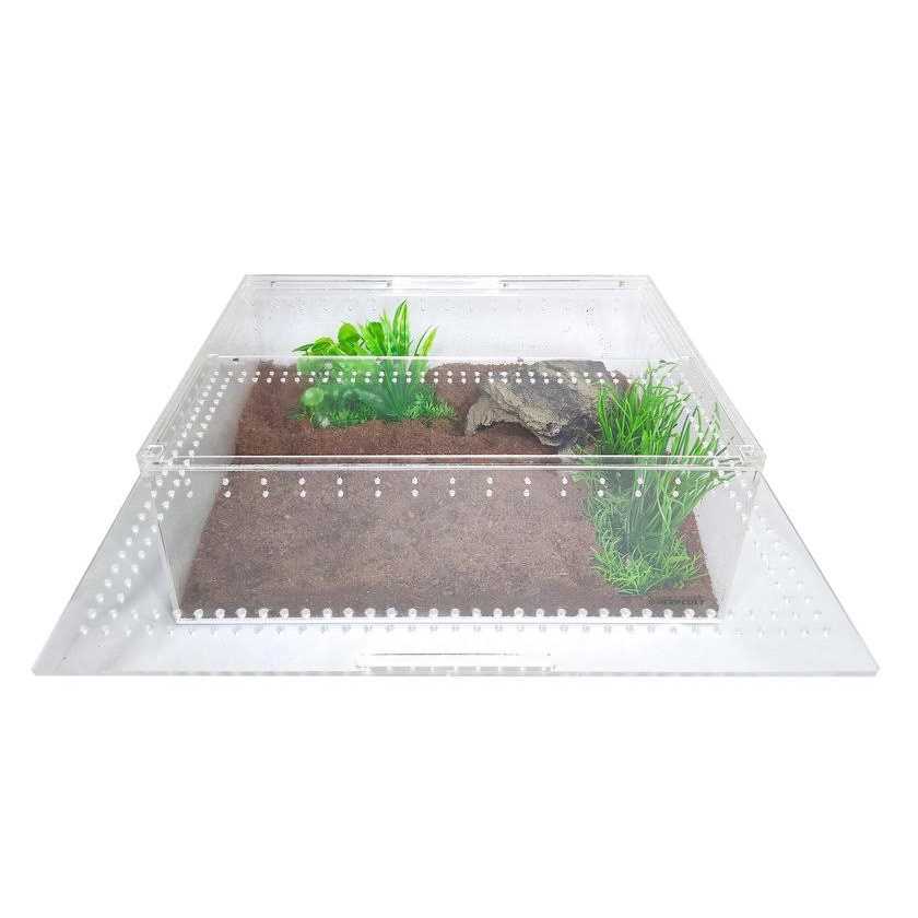Acrylic Insect & Reptile Terrarium Q64825